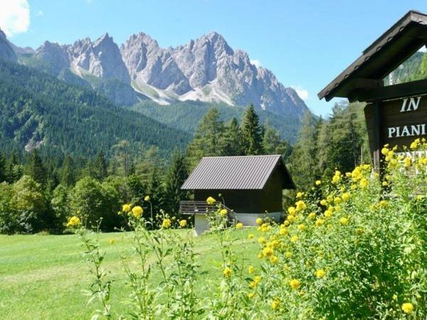 Albergo Piani Di Luzza Forni Avoltri Exteriér fotografie