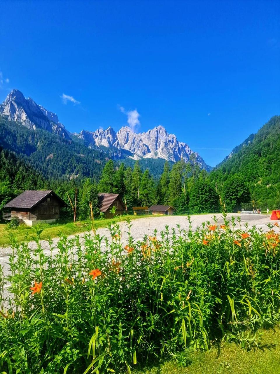 Albergo Piani Di Luzza Forni Avoltri Exteriér fotografie